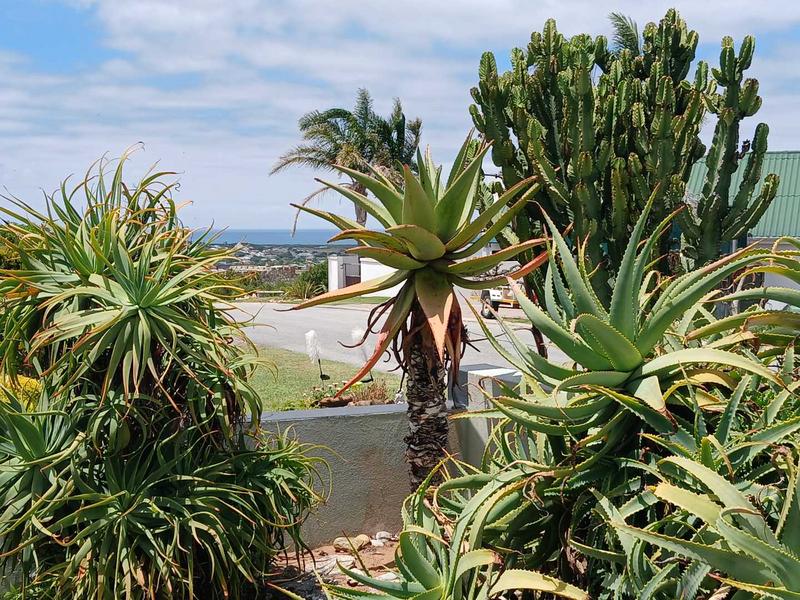 3 Bedroom Property for Sale in Stilbaai Wes Western Cape